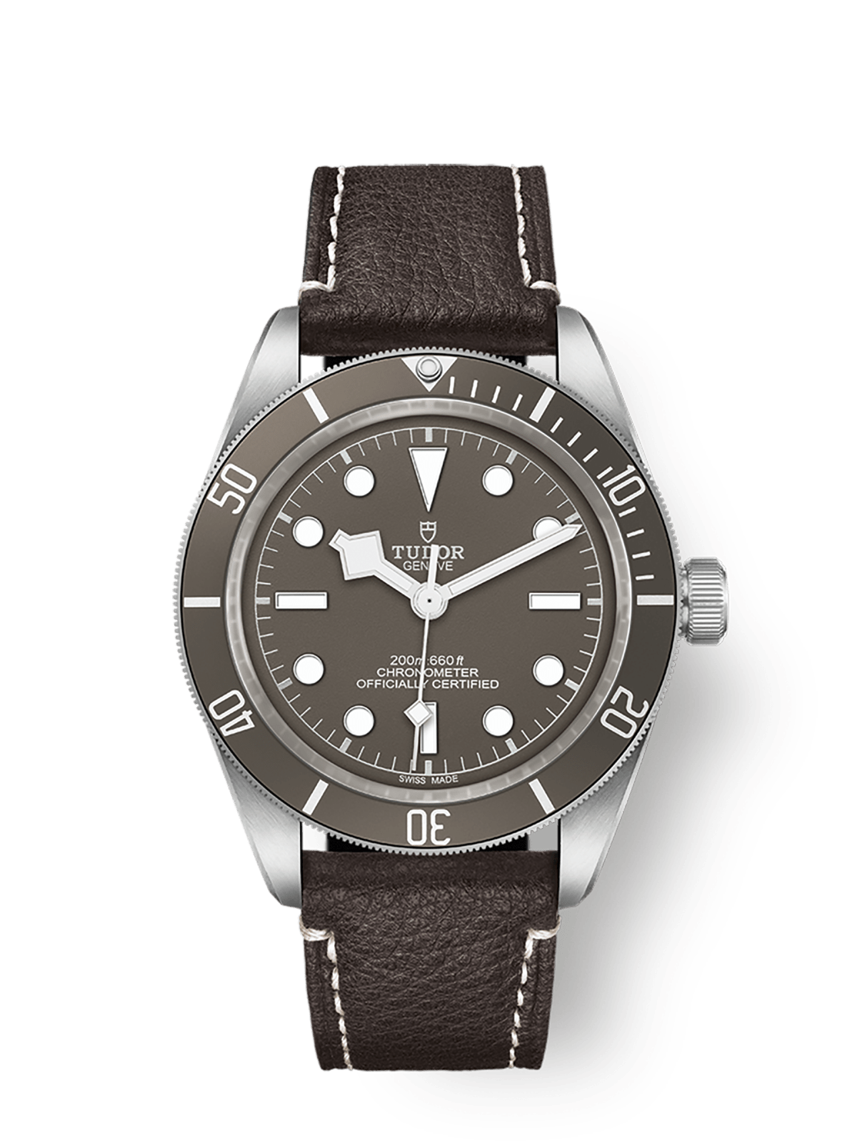 Tudor Black Bay 58 92539mm silver case Taupe dial M79010SG-0001