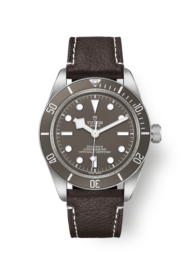 Tudor Black Bay 58 92539mm silver case Taupe dial M79010SG-0001