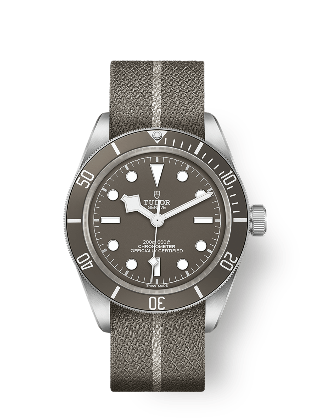Tudor Black Bay 58 92539mm silver case Taupe dial M79010SG-0002