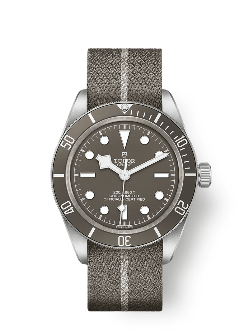 Tudor Black Bay 58 92539mm silver case Taupe dial M79010SG-0002