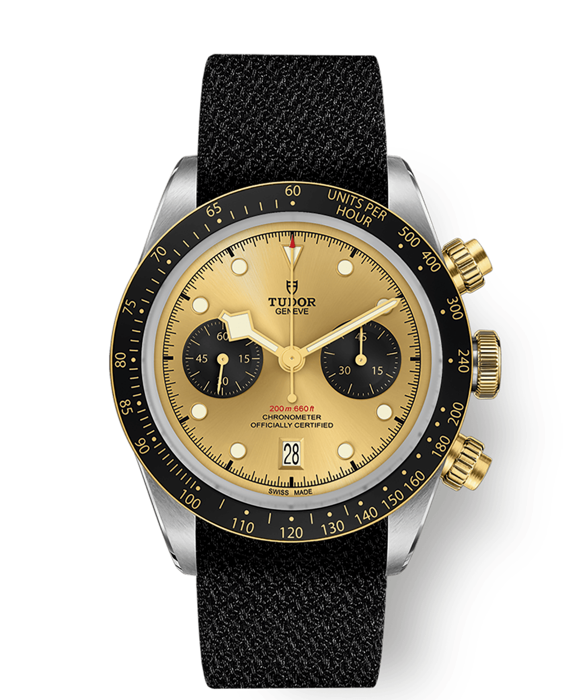 tudor-m79363n-0006.png