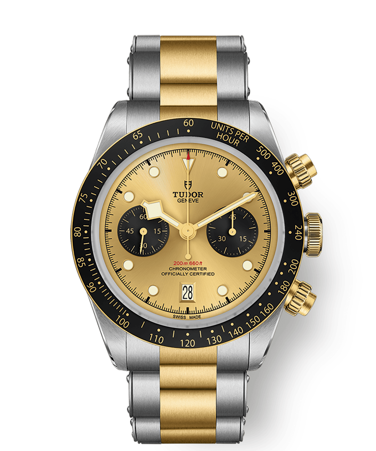 tudor-m79363n-0007.png