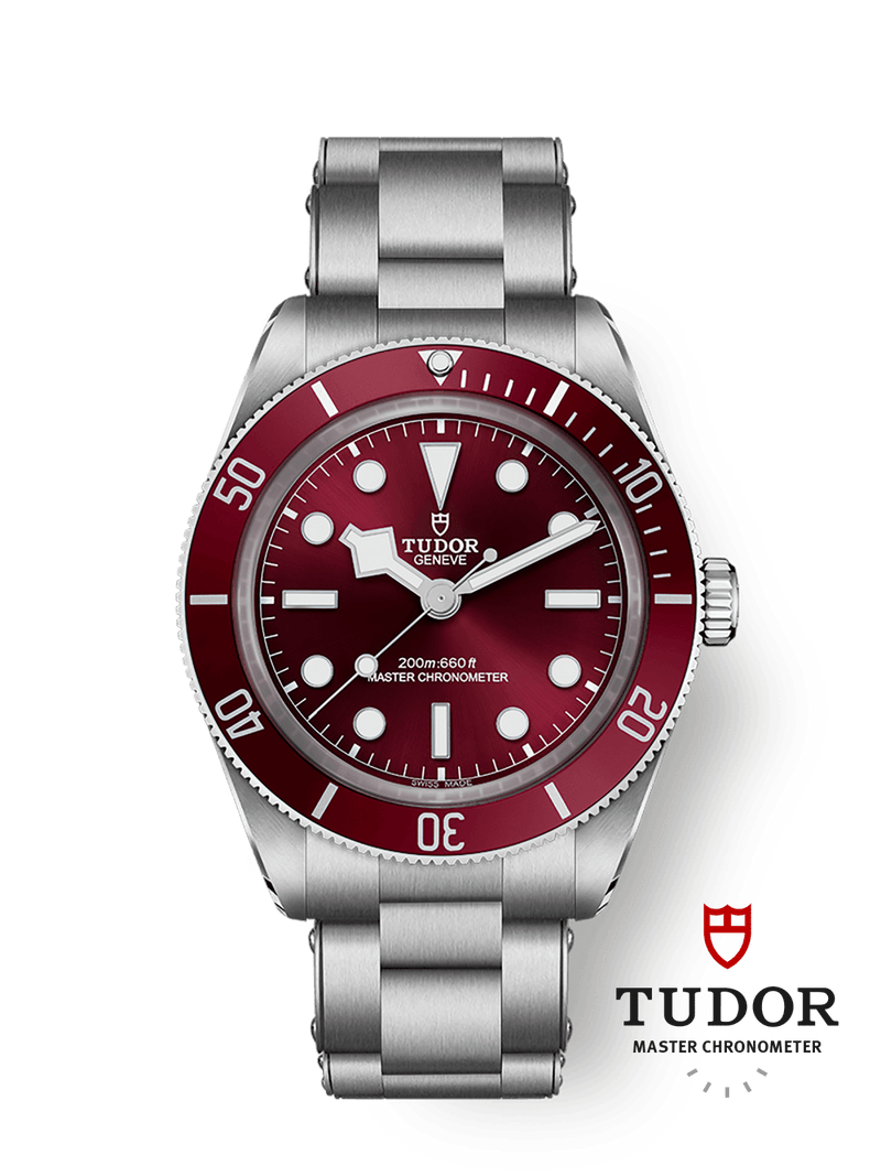 Tudor Black Bay 5839mm steel case Burgundy dial M7939A1A0RU-0002