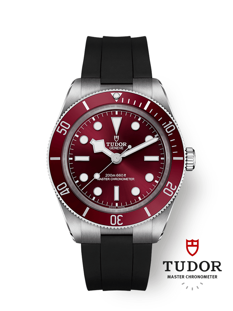 Tudor Black Bay 5839mm steel case Burgundy dial M7939A1A0RU-0003