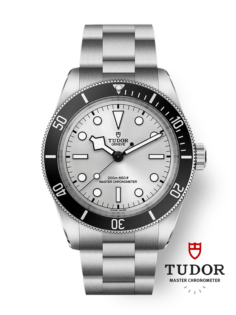 Tudor Black Bay 6843mm steel case Silver dial M7943A1A0NU-0002