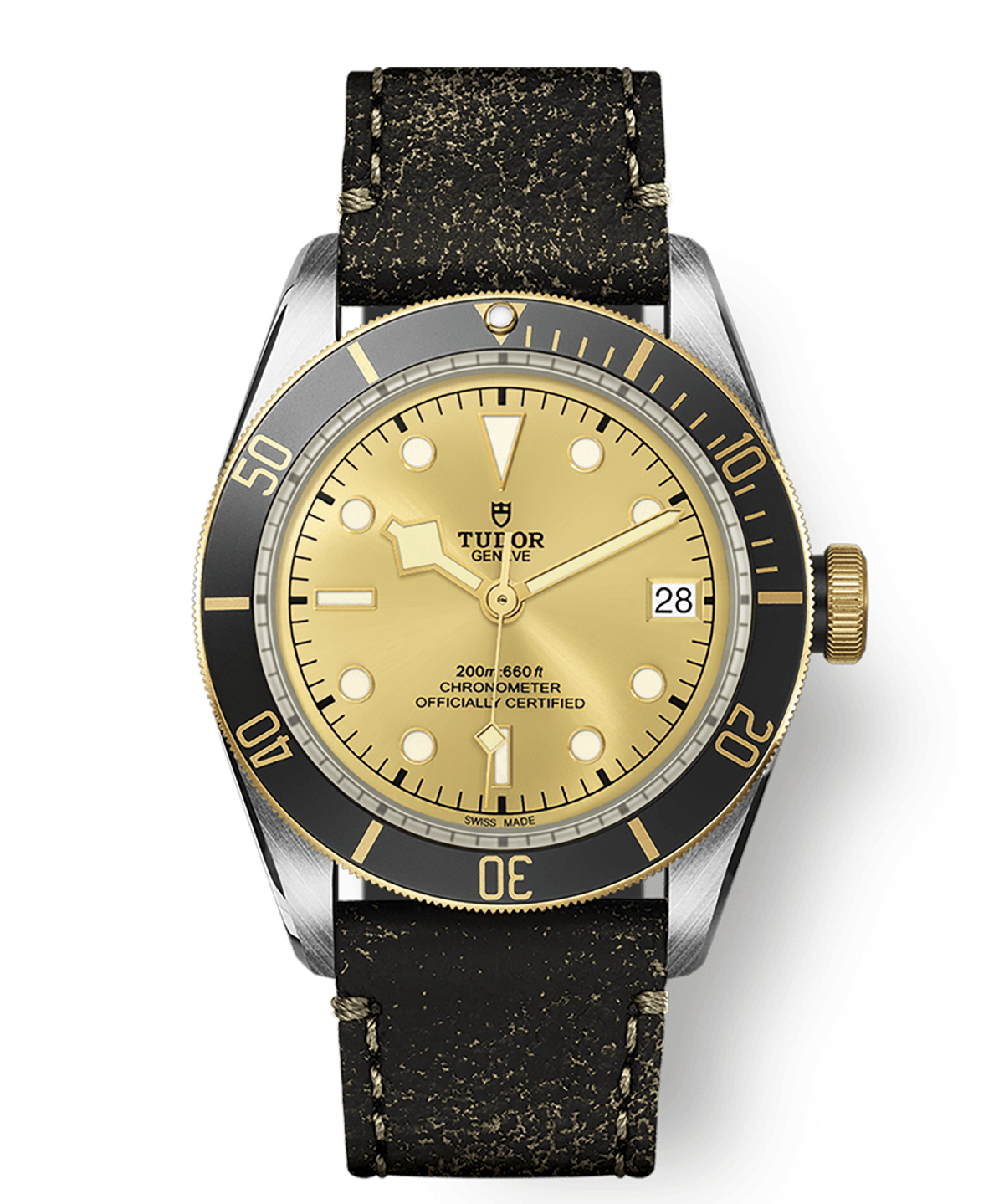 tudor-m79733n-0003.png