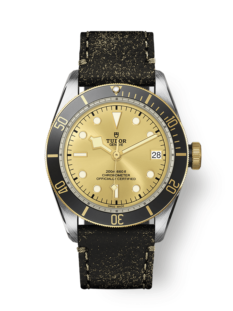 Tudor Black Bay S&G 41mm steel case Champagne-colour dial M79733N-0003