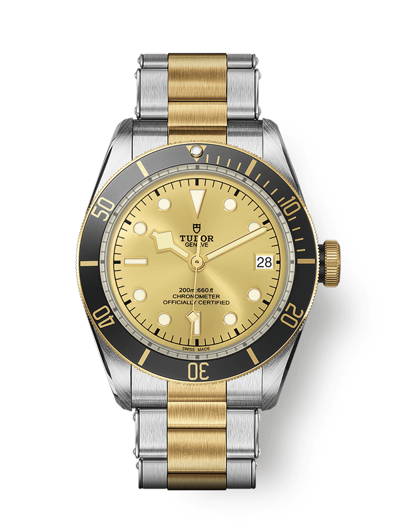 Tudor Black Bay S&G 41mm steel case Steel and yellow gold bracelet M79733N-0004