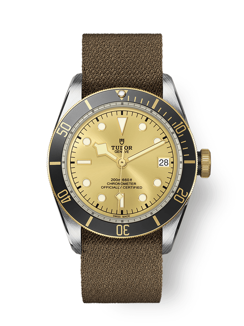 Tudor Black Bay S&G 41mm steel case Champagne-colour dial M79733N-0006